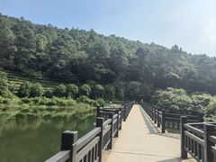 -九龙潭景区