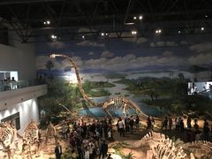 -自贡恐龙博物馆