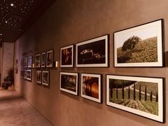 -wineapp葡萄酒餐吧(外滩金融中心店)