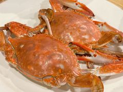 -日月昇渔家菜·海肠捞饭·大连海鲜(星海公园店)