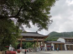 -金龙寺国家森林公园