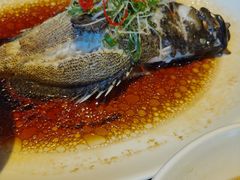 葱油蒸青斑-环球港凯悦 · 享悦中餐厅