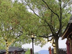 -湘湖大院(越王路店)