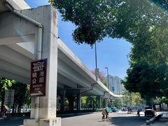 -晓港公园