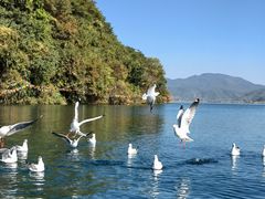 -丽江泸沽湖景区