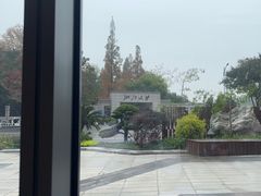 -绿雪芽白茶(浙大华家池校区凯旋路店)