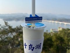 -千岛湖天屿景区