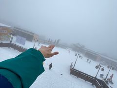 -瓦屋山景区