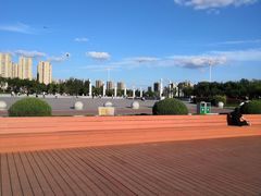 -丁香湖公园