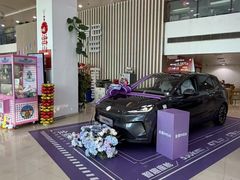 -上汽荣威体验中心(徐汇东安路店)