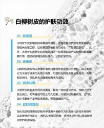 点击看大图 -玛莲朵·海菲秀冰珀科