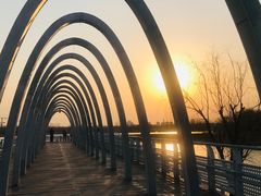 -大兴滨河森林公园