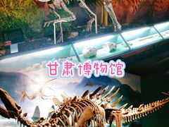 -甘肃省博物馆