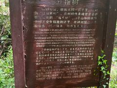 -达蓬山旅游度假区