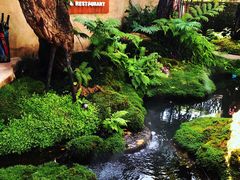 -Chom Cafe and Restaurant