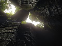 -梦幻奥陶纪景区