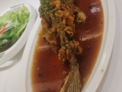 -金春禧(世茂国际广场店)