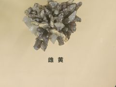 -湖南省地质博物馆