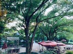 -浙江宾馆·花园餐厅·自助餐厅·茶吧