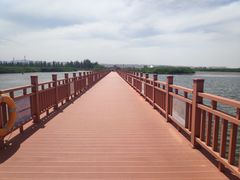 -乌梁素海景区