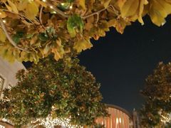 -比斯特上海购物村精品奥特莱斯