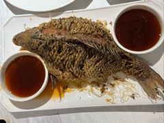 罾蹦鲤鱼-桂园餐厅(五大道店)