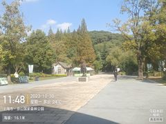 -上海佘山国家森林公园西佘山园