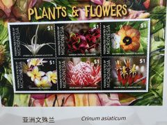 -国家植物园南园