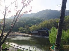 -横山寺