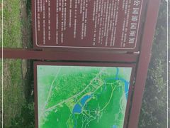 -风云岭森林公园