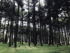 -石棉县孟获城