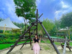 -合肥滨湖国家森林公园