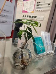 -M1 HAIR烫染