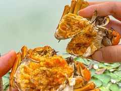 -水岸居湖景农家乐·阳澄湖大闸蟹