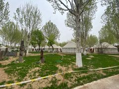 -九十九顶毡房(阜石路店)