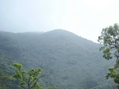 -东莞市大岭山森林公园