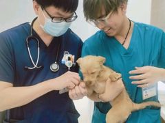-美联众合动物医院·24h京西诊疗中心