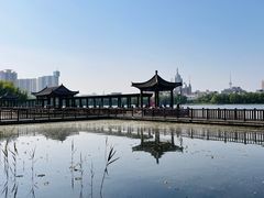 -莲花池公园