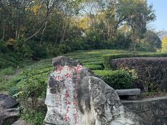 -敬亭山风景名胜区