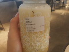 -野萃山·潮汕厚果汁(十亩地店)