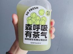 -森茶(湛江万达店)