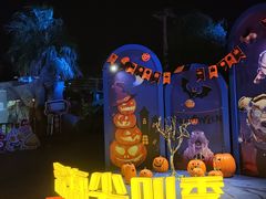 -上海海昌海洋公园