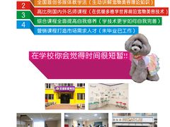 -优缇多格专业宠物美容师培训学校