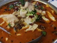 -重庆活鱼馆(经七店)