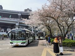 -上海南浦大桥长途旅游客运站
