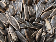 -阿杰烧烤·西安传统烤肉店(天朗御湖店)