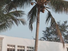 -玫瑰海岸文化旅游度假区