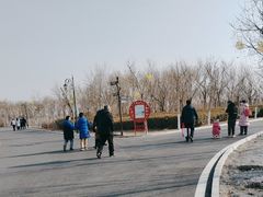 -天津东丽湖风景区