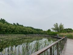 -昆山城市生态森林公园