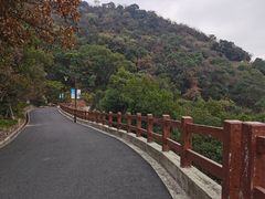 -杭州半山国家森林公园